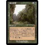 (旧枠仕様)森の知恵/Sylvan Library《日本語》【DMR】