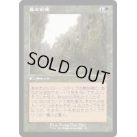 [EX](旧枠仕様)森の知恵/Sylvan Library《日本語》【DMR】
