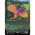 (FOIL)(フルアート)極楽鳥/Birds of Paradise《日本語》【DMR】