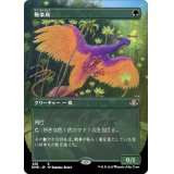 (フルアート)極楽鳥/Birds of Paradise《日本語》【DMR】