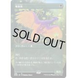 (FOIL)(フルアート)極楽鳥/Birds of Paradise《日本語》【DMR】