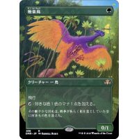 (FOIL)(フルアート)極楽鳥/Birds of Paradise《日本語》【DMR】