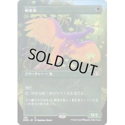 画像1: [EX+](FOIL)(フルアート)極楽鳥/Birds of Paradise《日本語》【DMR】