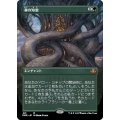 [EX+](FOIL)(フルアート)森の知恵/Sylvan Library《日本語》【DMR】