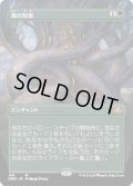 [EX+](FOIL)(フルアート)森の知恵/Sylvan Library《日本語》【DMR】