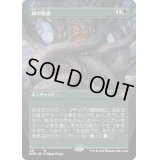 (FOIL)(フルアート)森の知恵/Sylvan Library《日本語》【DMR】