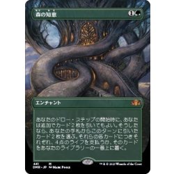 画像1: [EX+](FOIL)(フルアート)森の知恵/Sylvan Library《日本語》【DMR】