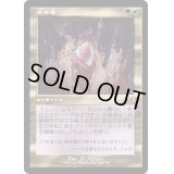 [EX+](FOIL)(旧枠仕様)狩猟場/Hunting Grounds《日本語》【DMR】