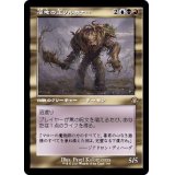 (旧枠仕様)沼地の王ソルカナー/Sol'kanar the Swamp King《日本語》【DMR】