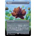 (FOIL)(フルアート)水蓮の花/Lotus Blossom《日本語》【DMR】