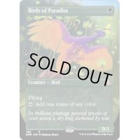 [EX+](FOIL)(フルアート)極楽鳥/Birds of Paradise《英語》【DMR】