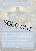 (FOIL)(フルアート)意志の力/Force of Will《日本語》【DMR】