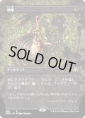 [EX](FOIL)(フルアート)納墓/Entomb《日本語》【DMR】