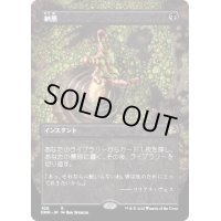 [EX](FOIL)(フルアート)納墓/Entomb《日本語》【DMR】
