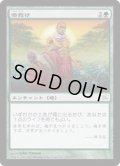 乱動への突入/Into the Roil《日本語》【FNM Promos】