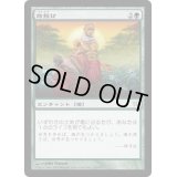 乱動への突入/Into the Roil《日本語》【FNM Promos】