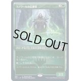 [EX+]ラノワールの幻想家/Llanowar Visionary《日本語》【Promo Pack】