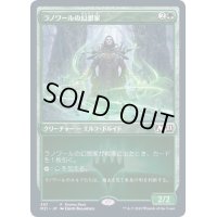 [EX+]ラノワールの幻想家/Llanowar Visionary《日本語》【Promo Pack】
