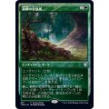 [EX+]狼柳の安息所/Wolfwillow Haven《日本語》【Promo Pack】