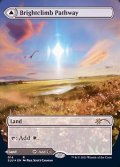 (FOIL)陽光昇りの小道/Brightclimb Pathway《英語》【SLU】