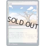 草原/Grasslands《日本語》【Duel Decks: Knights vs. Dragons】