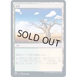 画像1: [EX+]草原/Grasslands《日本語》【Duel Decks: Knights vs. Dragons】