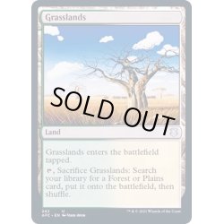 画像1: [EX+]草原/Grasslands《英語》【Commander 2017】