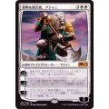 [EX]賢明な助言者、アジャニ/Ajani, Wise Counselor《日本語》【M19】