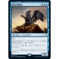 [EX+]秘法の管理者/Curator of Mysteries《日本語》【AKH】