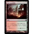 [EX+]グルールの芝地/Gruul Turf《日本語》【Ravnica Allegiance: Guild Kits(Gruul)】