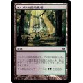 ゴルガリの腐敗農場/Golgari Rot Farm《日本語》【Commander 2015】