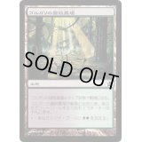 ゴルガリの腐敗農場/Golgari Rot Farm《日本語》【Commander 2019】