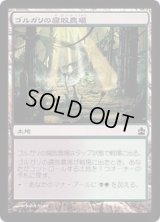ゴルガリの腐敗農場/Golgari Rot Farm《日本語》【Duel Decks: Izzet vs. Golgari】
