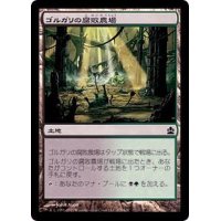 [EX+]ゴルガリの腐敗農場/Golgari Rot Farm《日本語》【Commander 2016】