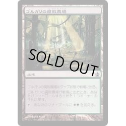 画像1: [EX+]ゴルガリの腐敗農場/Golgari Rot Farm《日本語》【Commander 2013】