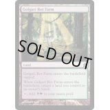 [EX+]ゴルガリの腐敗農場/Golgari Rot Farm《英語》【Commander 2019】