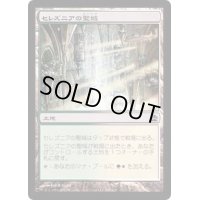[EX+]セレズニアの聖域/Selesnya Sanctuary《日本語》【Duel Decks: Knights vs. Dragons】