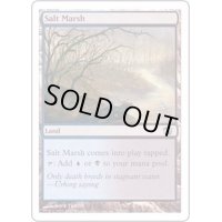[EX+]塩の湿地/Salt Marsh《日本語》【INV】