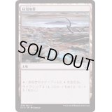 [EX+]枯渇地帯/Blasted Landscape《日本語》【USG】
