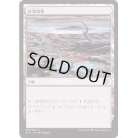 [EX+]枯渇地帯/Blasted Landscape《日本語》【USG】