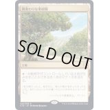 [EX+]風変わりな果樹園/Exotic Orchard《日本語》【Commander 2019】