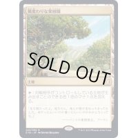 [EX+]風変わりな果樹園/Exotic Orchard《日本語》【Commander 2019】