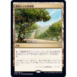 画像1: 風変わりな果樹園/Exotic Orchard《日本語》【Commander 2019】