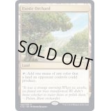 [EX+]風変わりな果樹園/Exotic Orchard《英語》【Commander 2019】