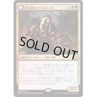 爪の群れのウルリッチ/Ulrich of the Krallenhorde《日本語》【EMN】