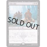 [EX+]残酷な現実/Cruel Reality《日本語》【AKH】