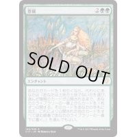 豊穣/Abundance《日本語》【Commander 2017】
