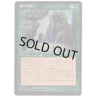 [EX](黒枠)森の知恵/Sylvan Library《日本語》【4ED】