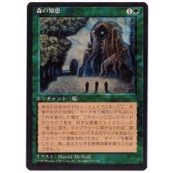 画像1: [EX](黒枠)森の知恵/Sylvan Library《日本語》【4ED】