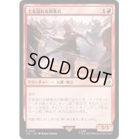 [EX+]士気溢れる徴集兵/Zealous Conscripts《日本語》【LTC】